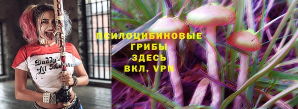 винт Алзамай