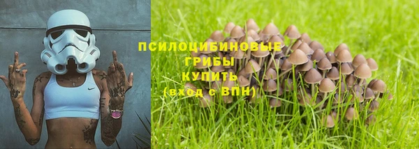 винт Алзамай