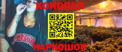 мдпв Новокубанск