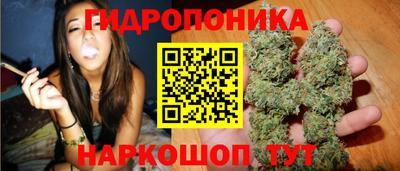 ПСИЛОЦИБИНОВЫЕ ГРИБЫ Новодвинск