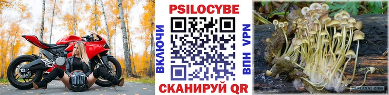 Галлюциногенные грибы GOLDEN TEACHER  Южно-Сахалинск 