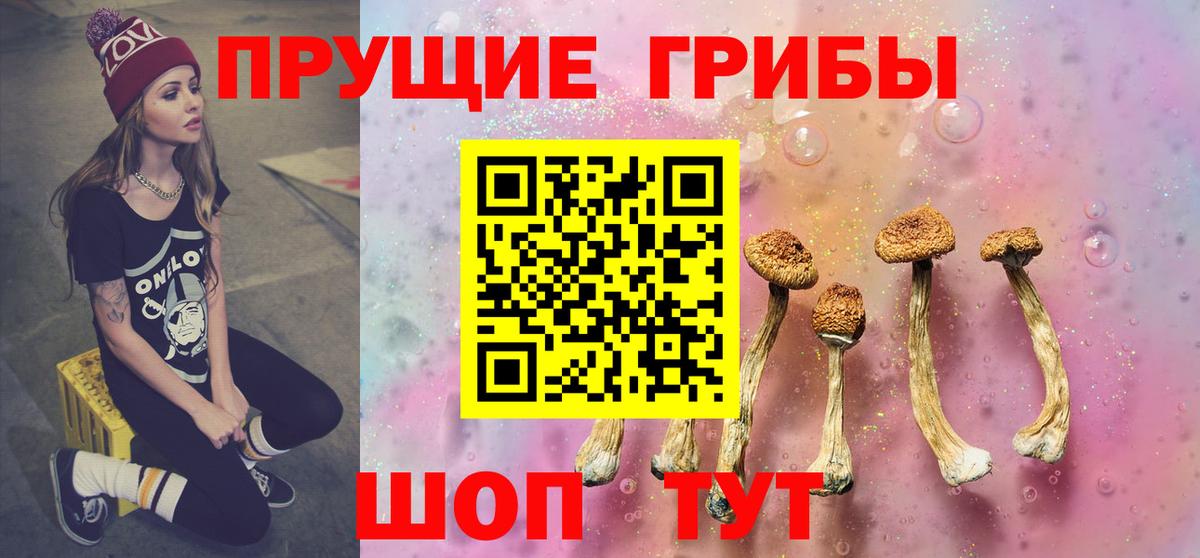 купить  цена  Вход с VPN  Псилоцибиновые грибы Magic Shrooms  Южно-Сахалинск  Галлюциногенные грибы Cubensis 